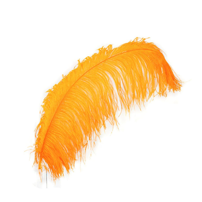 Ostrich Feathers