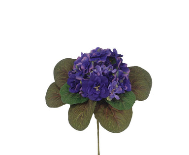 8" Violet Plant - Purple