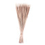 Pencil Cattails - Light Brown
