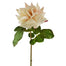 20" Dutchess Rose Open Short Stem - Linen/Cream