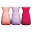 6 3/8" Vibe Vase - Passionfruit Assortment