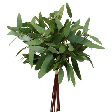 Long Eucalyptus Bundle - Green