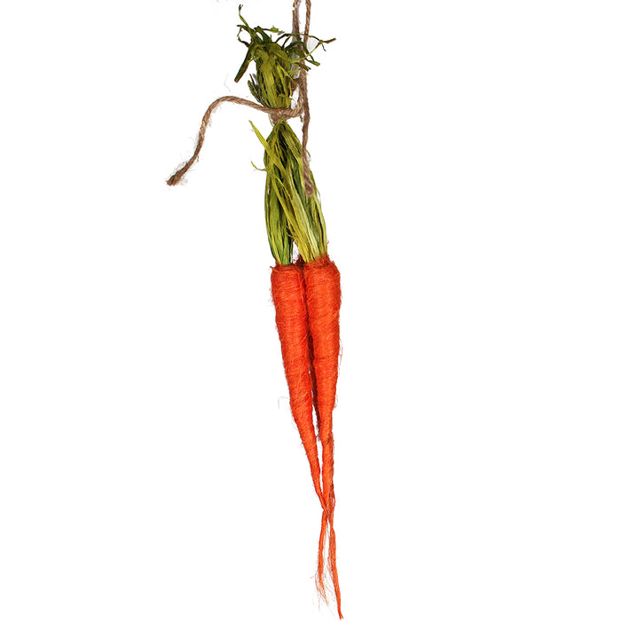 Carrot Bunch X 3 16 In Orange Green