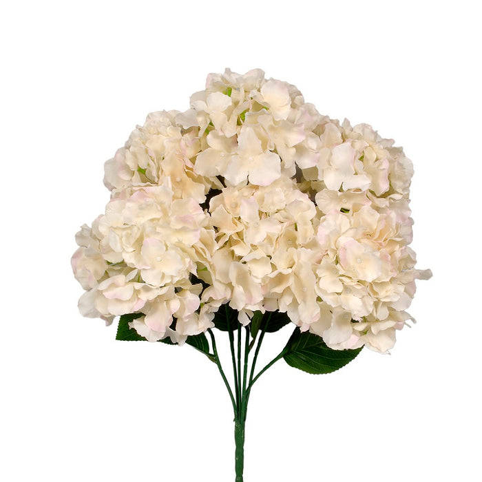 22" Hydrangea Bush w/Printed Leaves - Cream/Light Pink