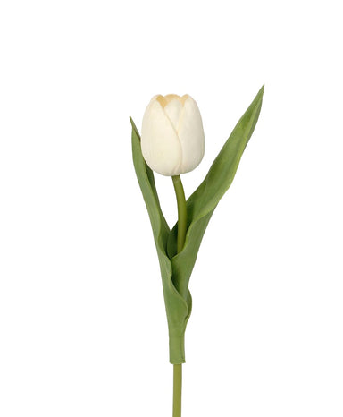 16 in Tulip - White