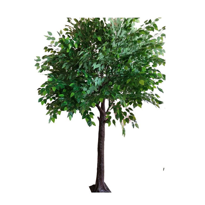 6.5' Banyan Tree - Green