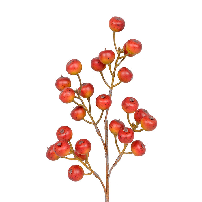 18 in Apple Berry Spray