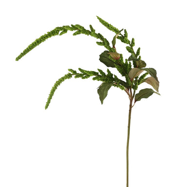 45 in Hanging Amaranthus