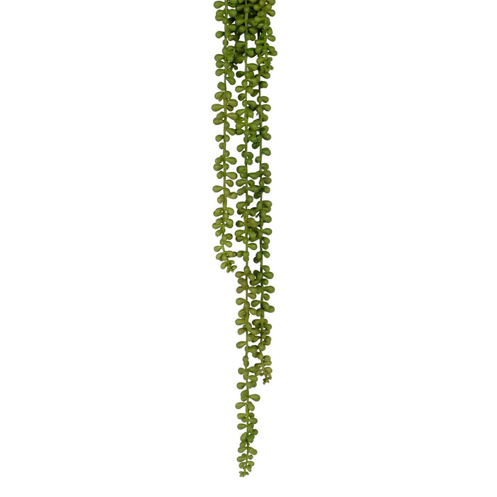 25 In String Pearl Succulent - Green