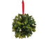 150 Mm Mistletoe Ball - Green