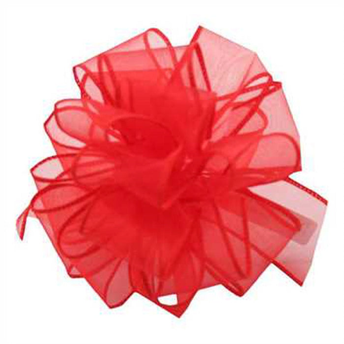 #9 DWI Sheers Ribbon