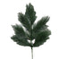 White Pine Spray