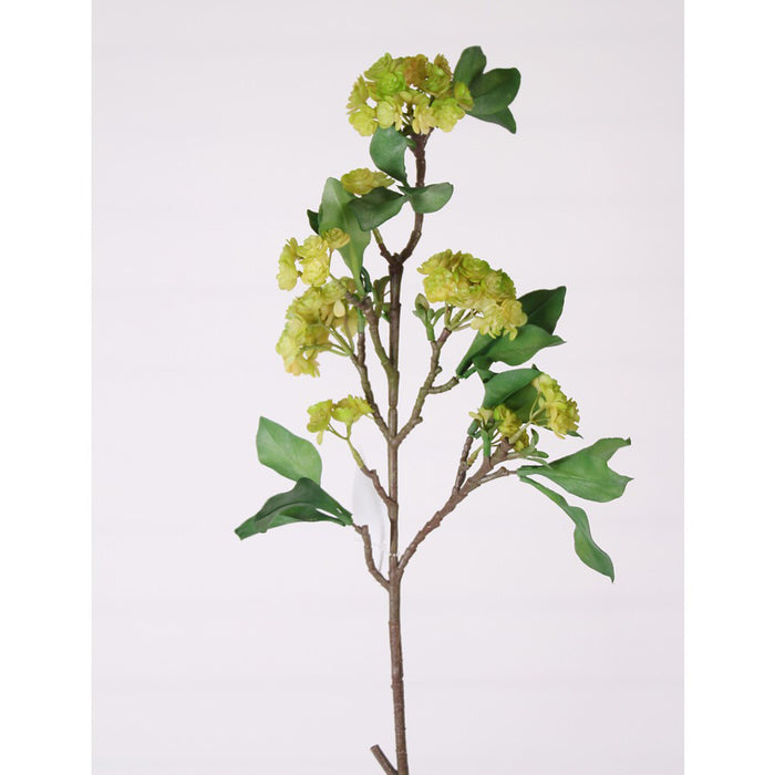 32" Flower Succulent Stem - Lime