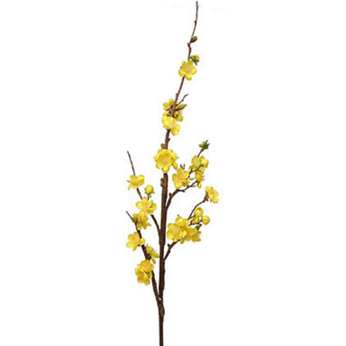 40 in Quince Branch - Yellow