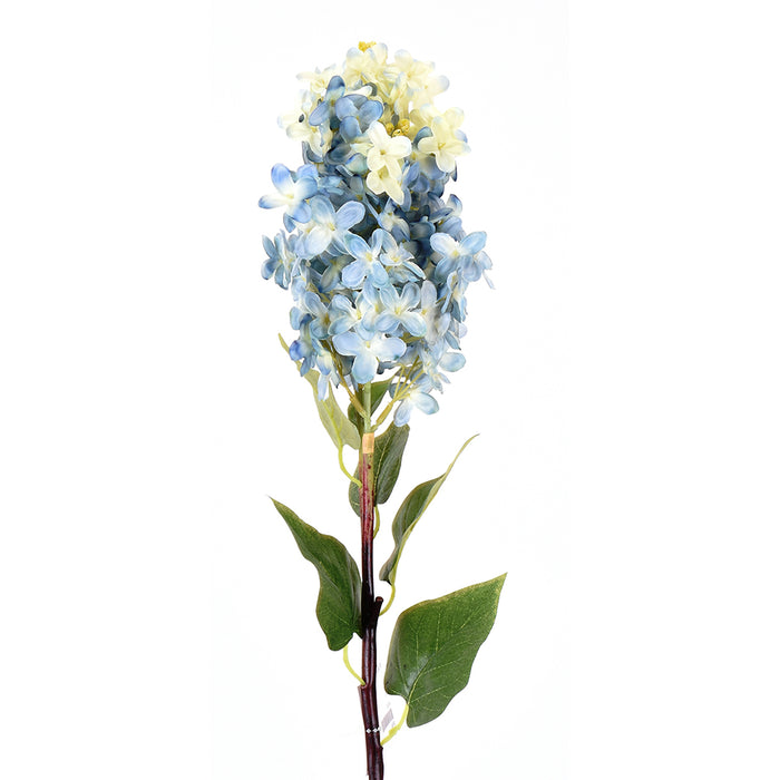 26" Lilac Stem - Blue