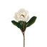 Magnolia w/Leaves - Cream