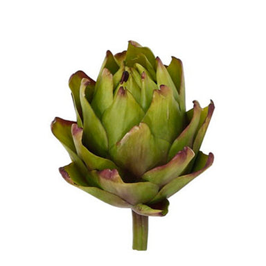 4 in Artichoke - Green/Purple