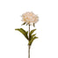 Ruffle Peony - Linen