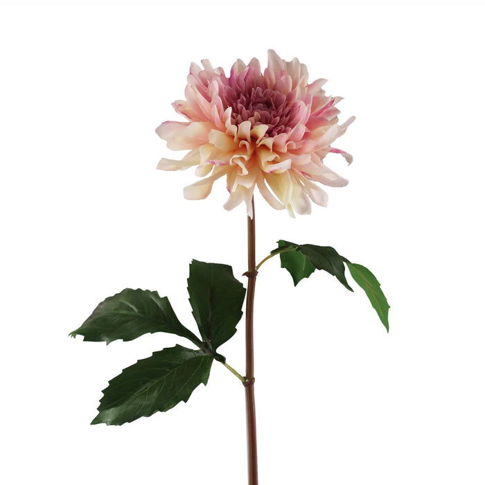 19.5" Dahlia Stem - Brush Pink