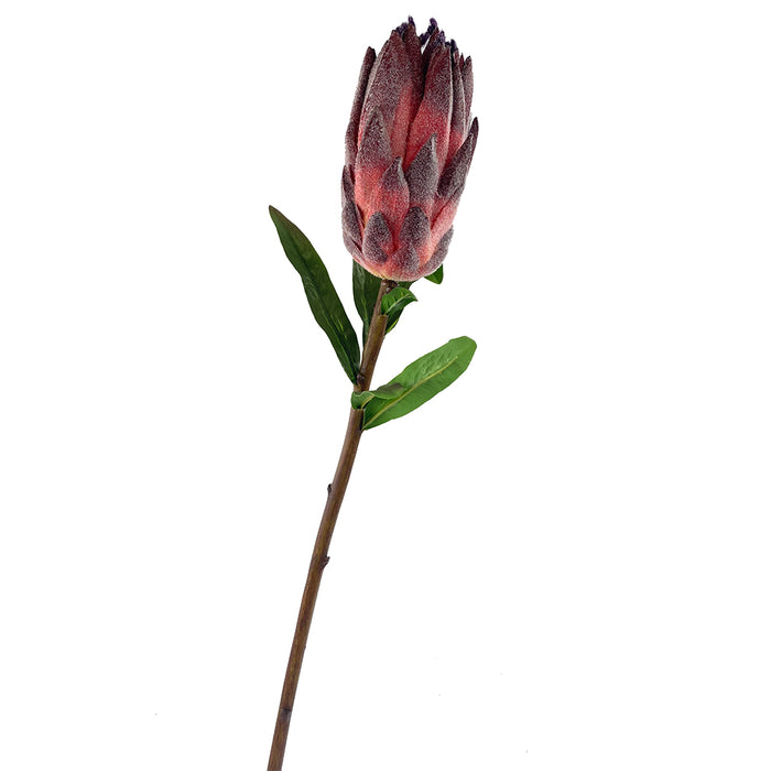 29" Mink Protea - Burgundy