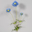 Scabiosa Spray - Blue