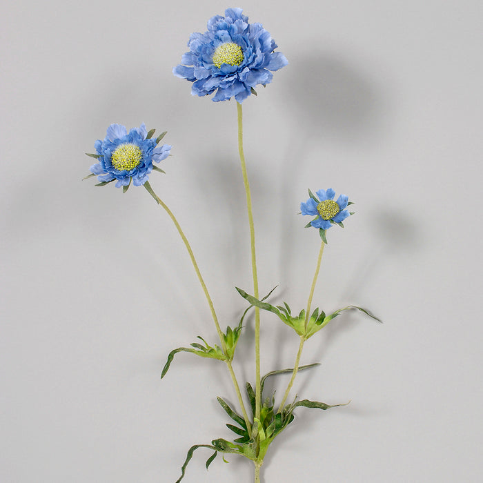 Scabiosa Spray - Blue