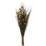 15-20 in Bell Grass Basil Pods (5oz Bundle)