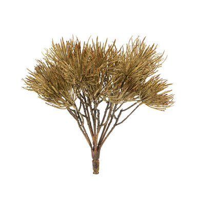 10 in Needle Pine Bush - Green
