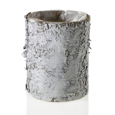 Birch Planters