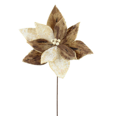 19 in Poinsettia Stem - Brown/Ivory