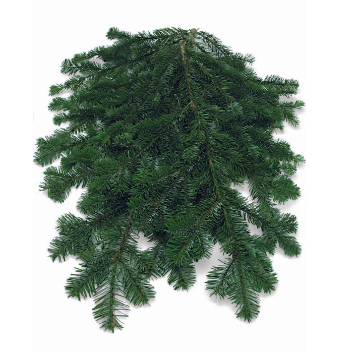 25lb Silver Fir Bale