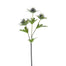 23 in Eryngo Thistle - Dark Blue