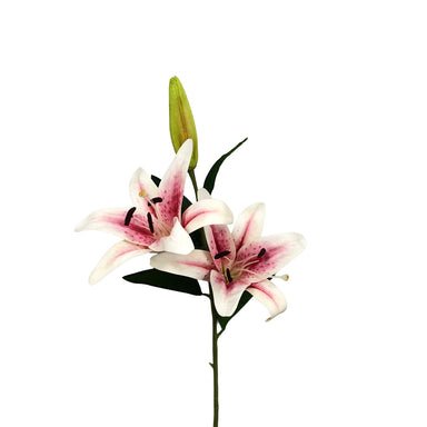 Stargazer Lily w/Bud - Pink