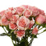 Spray Rose