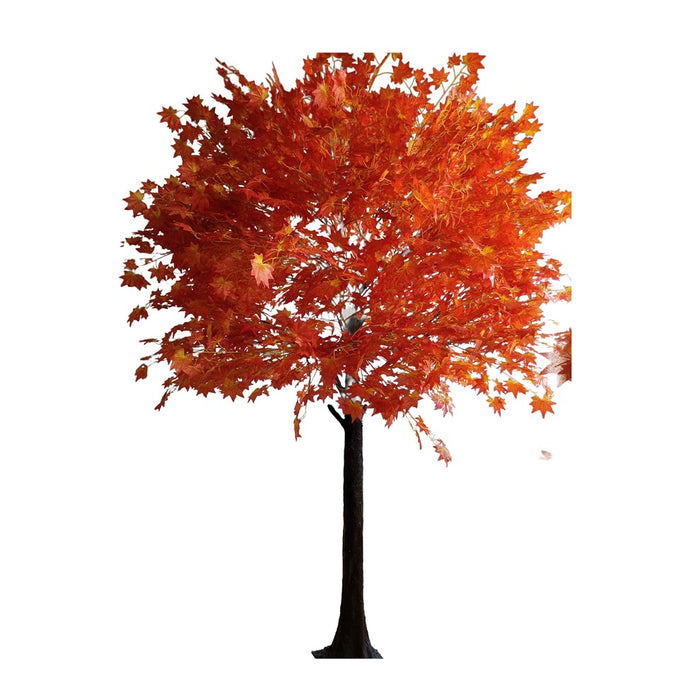 6.5' Maple Tree - Orange