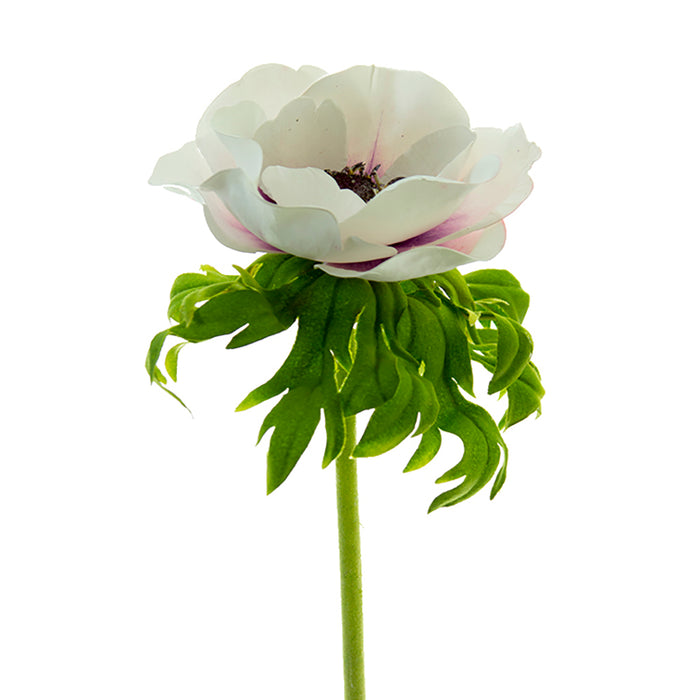 22 in Poppy Anemone Stem