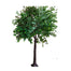 10' Banyan Tree - Green