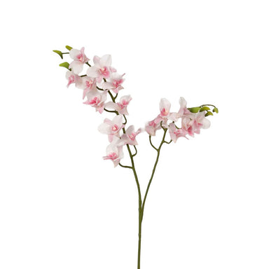36 in Dendrobium Spray - Pink