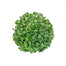 5 in Boxwood Ball - Green