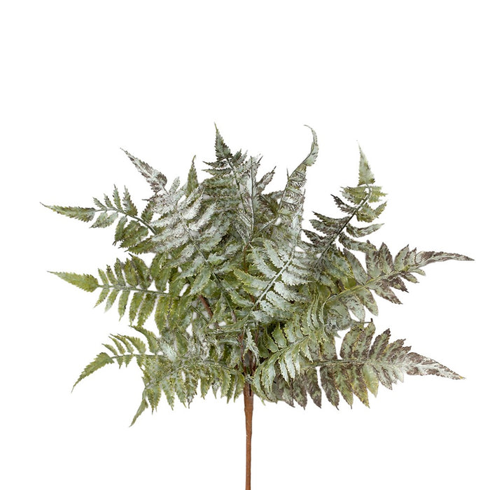 Leather Fern Bush Grey/Green