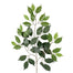 23" Ficus Spray - Green