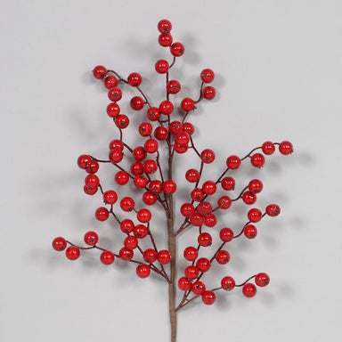 Berry Spray