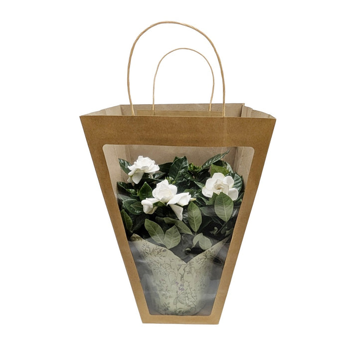 6 in Gardenia in Gift Bag