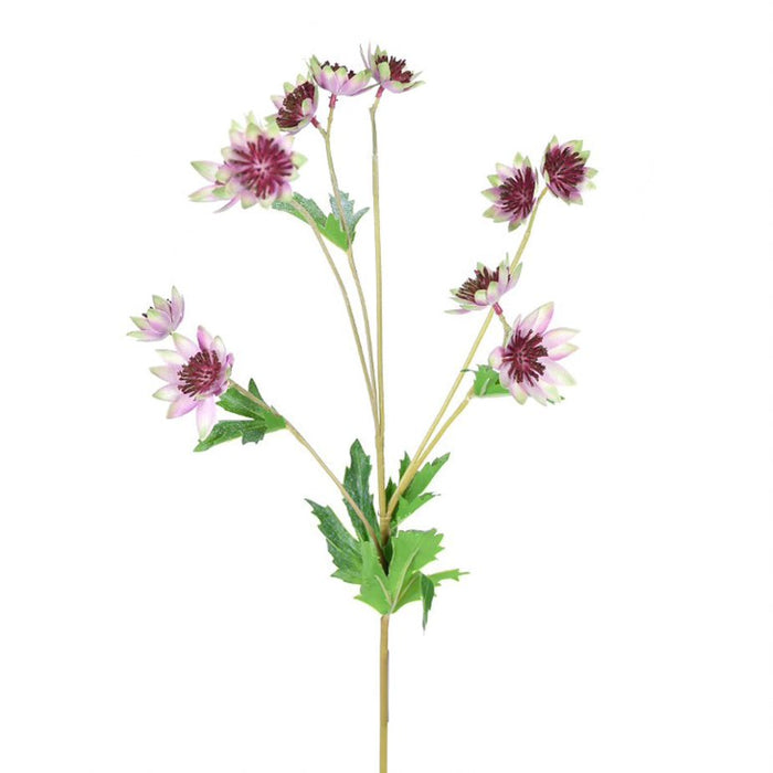 26" Scabiosa Stem - Plum/Green