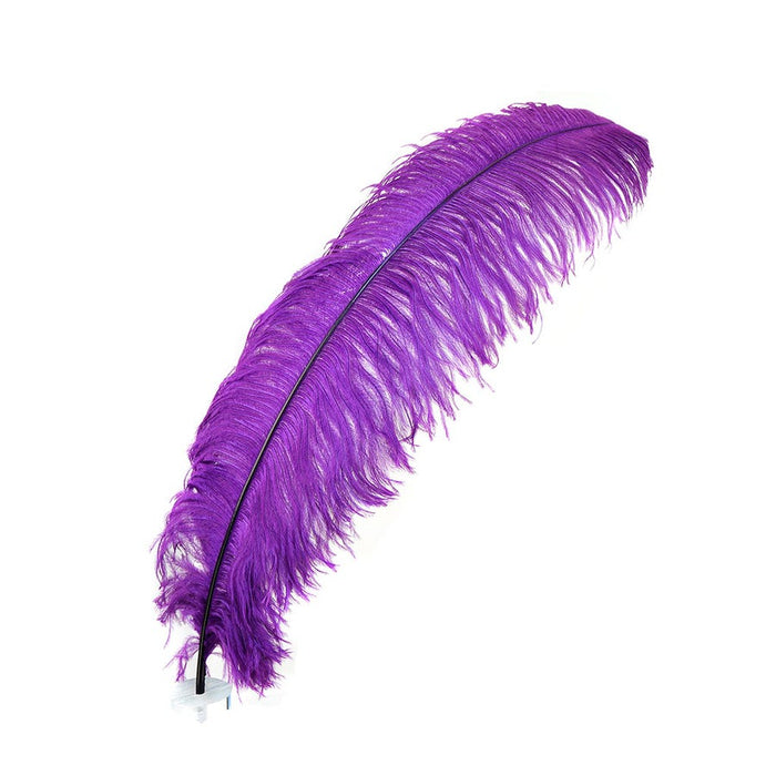 Ostrich Feathers