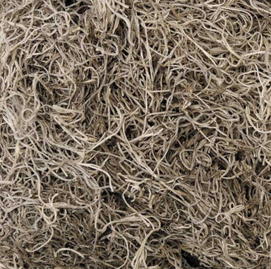 1 Lb Spanish Moss - Natural