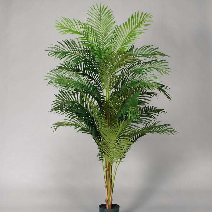 7' Areca Palm Tree Plastic Pot