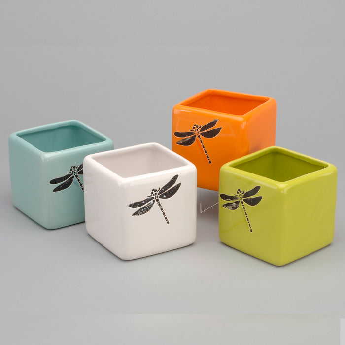 4-1-4 in Dolomite Cube W-Dragonfly