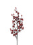 30" Iced Rose Hip Spray - Red