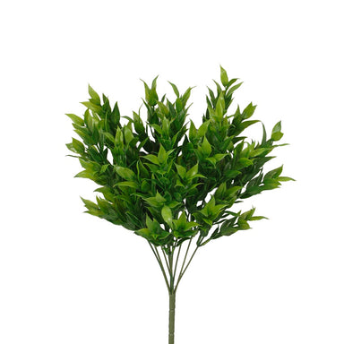 18 In Ruscus Leaves Bush x 9 - Dark Green